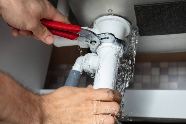 Best Carpet water damage restoration  in Auburn, IL