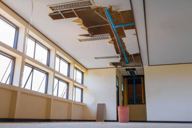 Best Ceiling water damage repair  in Auburn, IL