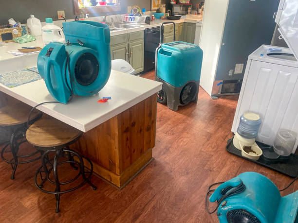Best Flooded house restoration  in Auburn, IL