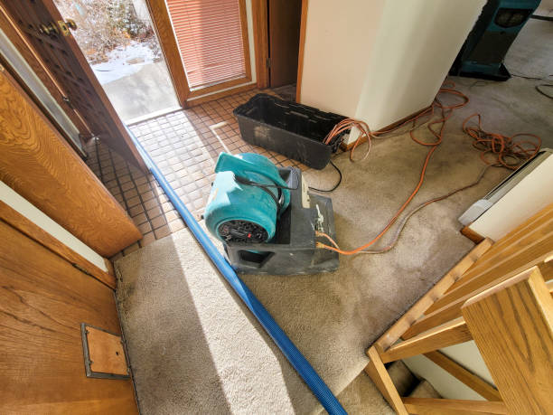 Best Emergency water damage restoration  in Auburn, IL