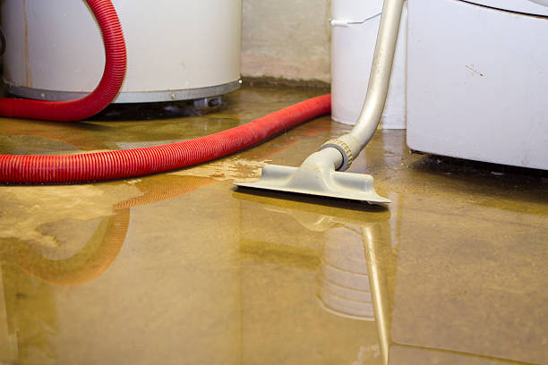 Best Flood restoration services  in Auburn, IL