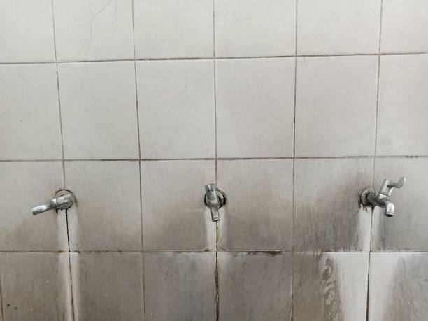 Best Emergency water extraction  in Auburn, IL