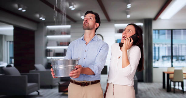 Best Basement water damage restoration  in Auburn, IL